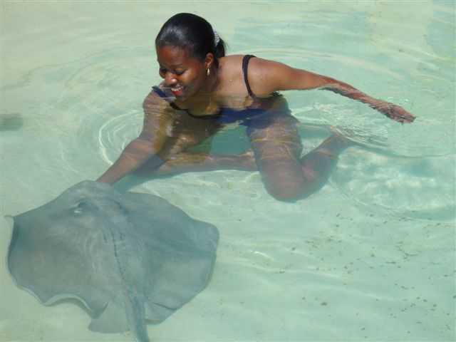  that I entered the shallow waters with the resident stingrays at 