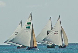 Anguilla Sail Boats