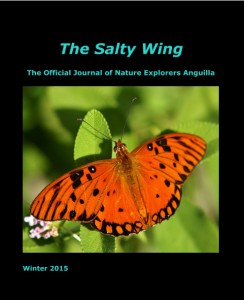 7th edition of the salty wing