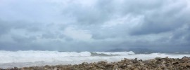 tropical storm erika waves