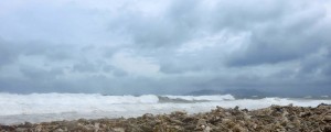 tropical storm erika waves