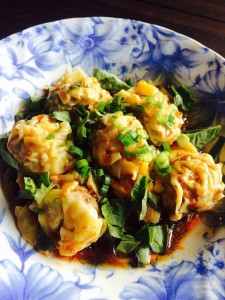 thai style beef dumplings