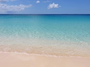 the beach at ocean echo