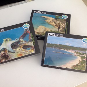 anguilla puzzles